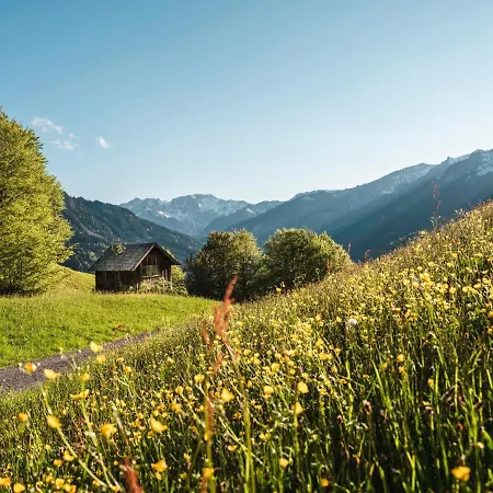 Waldblick Appartement Mellau