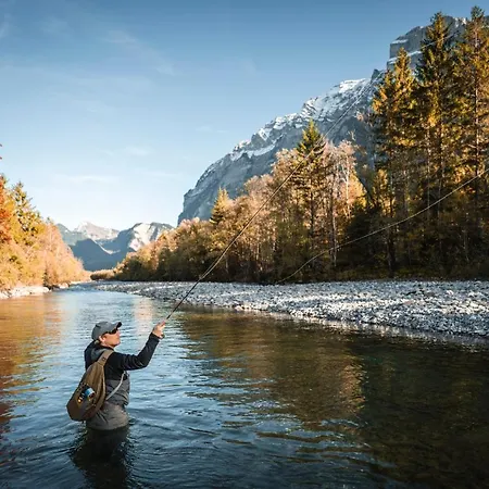 Waldblick Appartement *