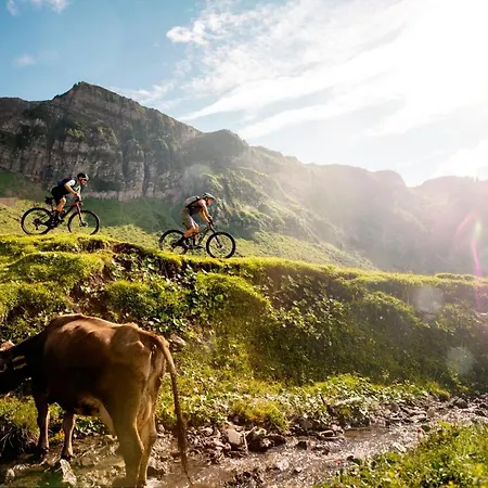 Appartement Waldblick *