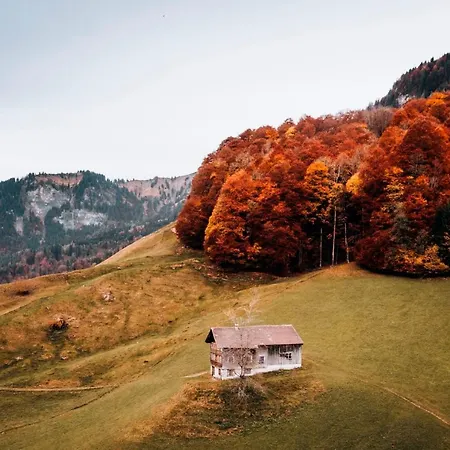 Apartment Waldblick *