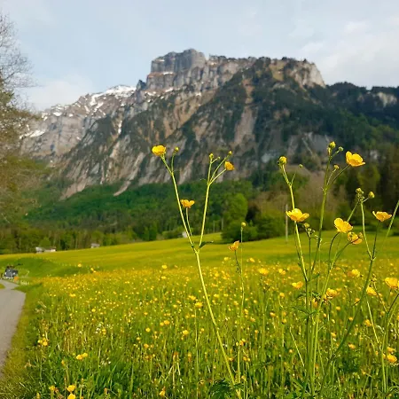 Appartement Waldblick