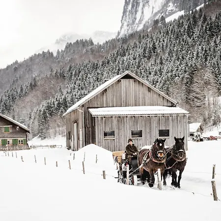Waldblick Appartement Mellau