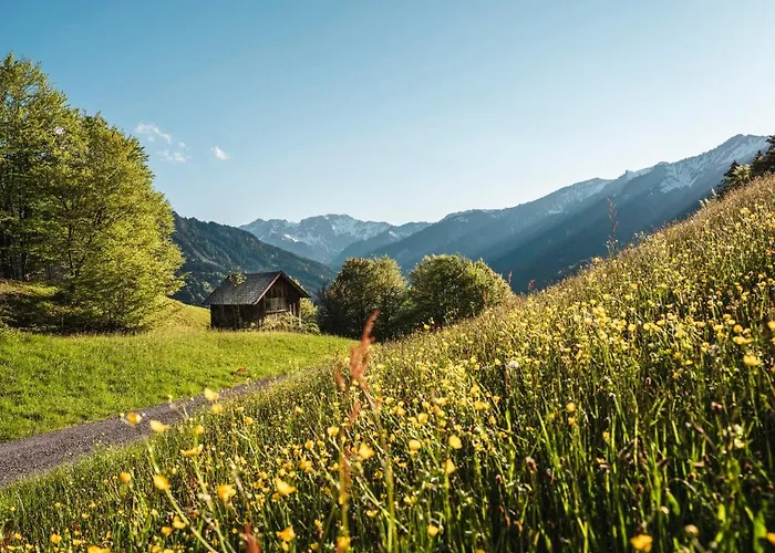 Waldblick Daire Mellau