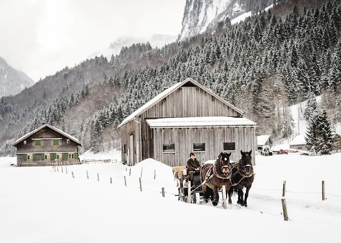 Waldblick Daire Mellau